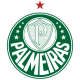 Palmeiras Retro